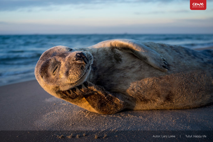 CEWE Photo Award 2019