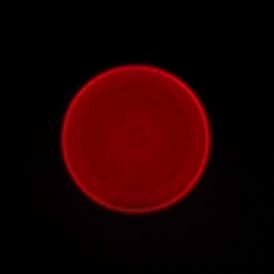 Olympus M.Zuiko Digital ED 17 mm f/1.2 PRO - Aberracja chromatyczna i sferyczna