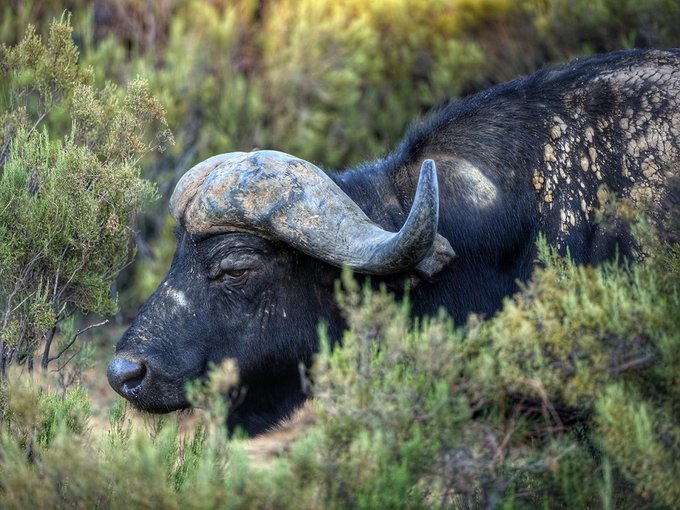 O Fujifilm GFX 50R na spotkaniu z Jackiem Boneckim O Fujifilm GFX 50R na spotkaniu z Jackiem Boneckim