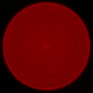 Sigma S 70-200 mm f/2.8 DG OS HSM - Aberracja chromatyczna i sferyczna