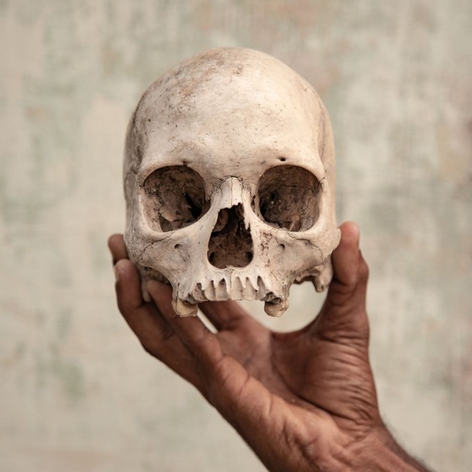 Sony World Photography Awards 2019 - znamy zwycięzców Sony World Photography Awards 2019 - znamy zwycięzców