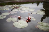 Sony FE 35 mm f/1.8 i A7R IV - zdjcia przykadowe