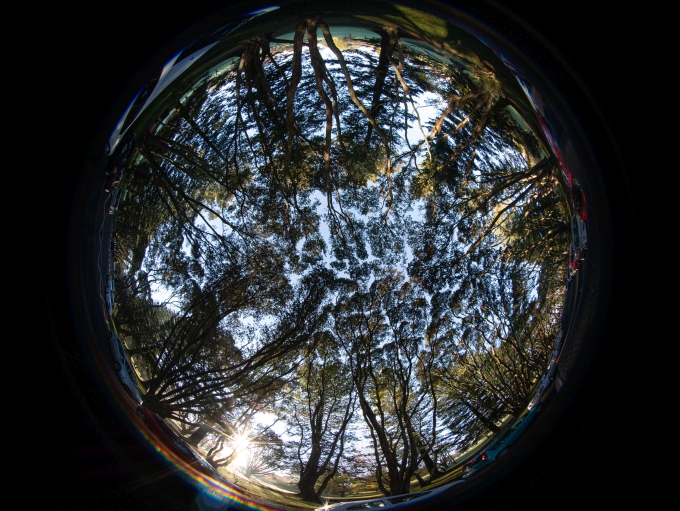 Laowa 4 mm f/2.8 MFT Circular Fisheye - znamy cenę Laowa 4 mm f/2.8 MFT Circular Fisheye - znamy cenę