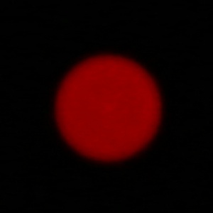 Venus Optics LAOWA 100 mm f/2.8 2X Ultra Macro APO - Aberracja chromatyczna i sferyczna