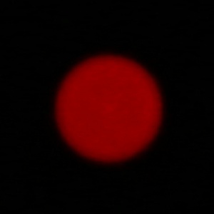 Venus Optics LAOWA 100 mm f/2.8 2X Ultra Macro APO - Aberracja chromatyczna i sferyczna