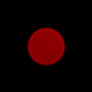 Venus Optics LAOWA 100 mm f/2.8 2X Ultra Macro APO - Aberracja chromatyczna i sferyczna