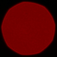 Venus Optics LAOWA 100 mm f/2.8 2X Ultra Macro APO - Koma, astygmatyzm i bokeh