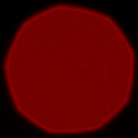 Venus Optics LAOWA 100 mm f/2.8 2X Ultra Macro APO - Koma, astygmatyzm i bokeh
