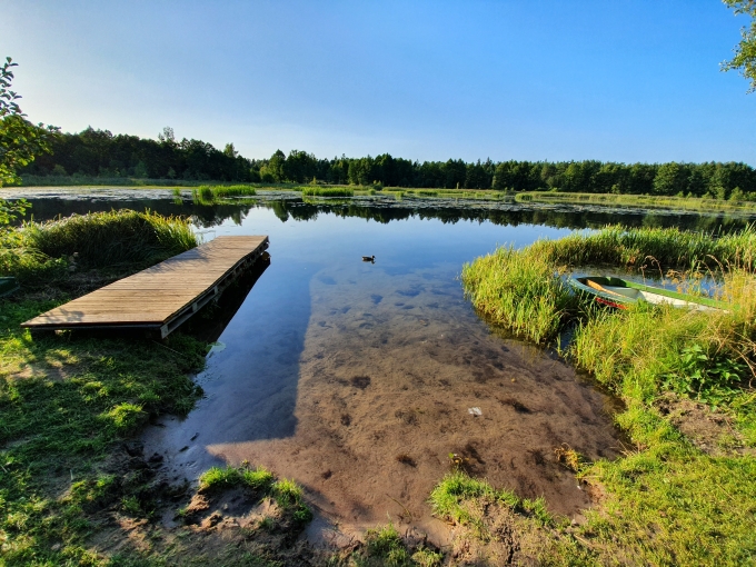 Zdjcie przykadowe nr: 2