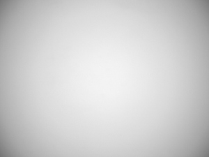 Panasonic Leica DG Vario-Summilux 10-25 mm f/1.7 ASPH - Winietowanie