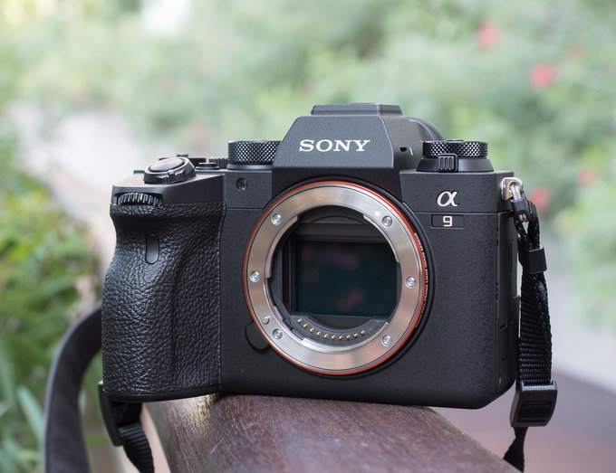 Sony A9 II - wraenia z uytkowania - Sony A9 II - wraenia z uytkowania