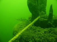 Test aparatw podwodnych 2021 - Przykadowe zdjcia