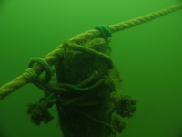 Test aparatw podwodnych 2021 - Przykadowe zdjcia