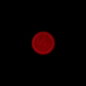 Fujifilm Fujinon XF 16-80 mm f/4 R OIS WR - Aberracja chromatyczna i sferyczna