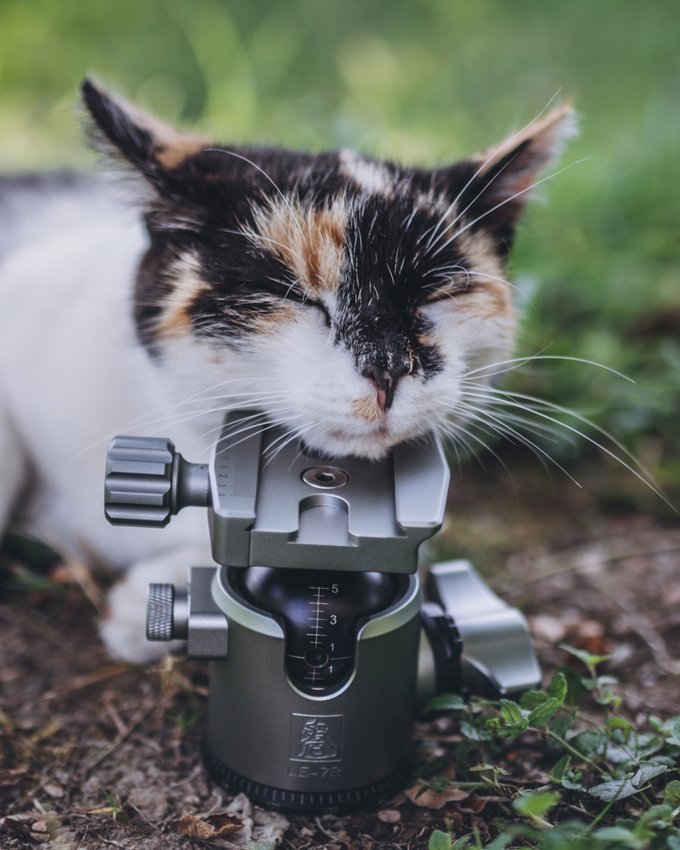 Kolejne produkty Fotopro w polskiej dystrybucji