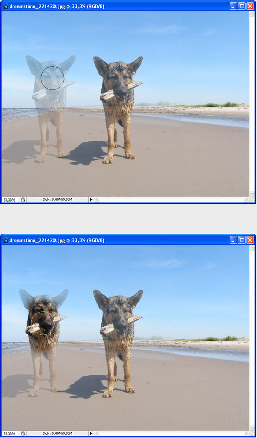 Photoshop CS3 PL - pozbywanie się niechcianych elementów z obrazu - Paleta Powiel źródło Photoshop CS3 PL - pozbywanie się niechcianych elementów z obrazu - Paleta Powiel źródło