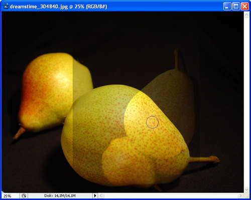 Photoshop CS3 PL - pozbywanie się niechcianych elementów z obrazu - Paleta Powiel źródło Photoshop CS3 PL - pozbywanie się niechcianych elementów z obrazu - Paleta Powiel źródło