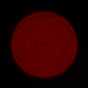 Sigma A 24-70 mm f/2.8 DG DN - Aberracja chromatyczna i sferyczna