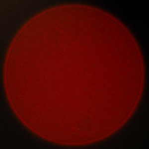 Venus Optics LAOWA 17 mm f/1.8 MFT II - Koma, astygmatyzm i bokeh