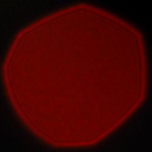 Venus Optics LAOWA 17 mm f/1.8 MFT II - Koma, astygmatyzm i bokeh