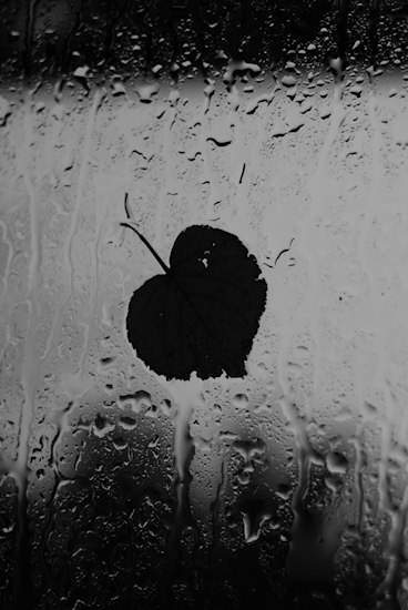 Szkoa fotografowania Sony z Cyfrowe.pl