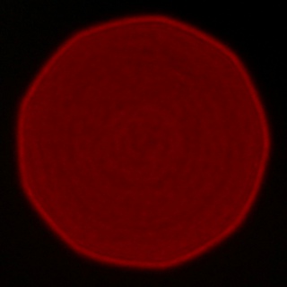 Carl Zeiss Batis 40 mm f/2 CF  - Aberracja chromatyczna i sferyczna
