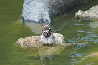 Panasonic Lumix DC-FZ1000 II - Zdjcia przykadowe