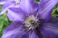 Panasonic Lumix DC-FZ1000 II - Zdjcia przykadowe