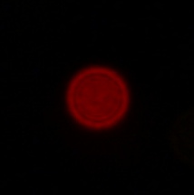 Venus Optics LAOWA 9 mm f/5.6 FF RL - Koma, astygmatyzm i bokeh