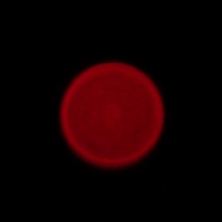 Samyang AF 35 mm f/1.8 FE - Aberracja chromatyczna i sferyczna