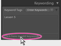Porzdkowanie i wybieranie zdj w Adobe Lightroom - Dodawanie sw kluczowych