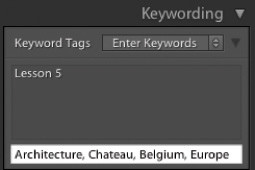 Porzdkowanie i wybieranie zdj w Adobe Lightroom - Dodawanie sw kluczowych