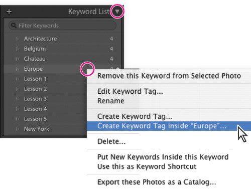 Porzdkowanie i wybieranie zdj w Adobe Lightroom - Dodawanie sw kluczowych