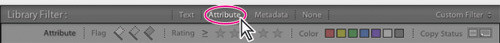 Porządkowanie i wybieranie zdjęć w Adobe Lightroom - Korzystanie z flag i ocen Porządkowanie i wybieranie zdjęć w Adobe Lightroom - Korzystanie z flag i ocen