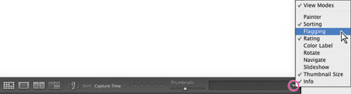 Porządkowanie i wybieranie zdjęć w Adobe Lightroom - Korzystanie z flag i ocen Porządkowanie i wybieranie zdjęć w Adobe Lightroom - Korzystanie z flag i ocen