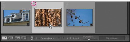 Porządkowanie i wybieranie zdjęć w Adobe Lightroom - Korzystanie z flag i ocen Porządkowanie i wybieranie zdjęć w Adobe Lightroom - Korzystanie z flag i ocen