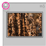 Porzdkowanie i wybieranie zdj w Adobe Lightroom - Korzystanie z flag i ocen
