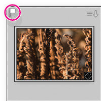 Porządkowanie i wybieranie zdjęć w Adobe Lightroom - Korzystanie z flag i ocen Porządkowanie i wybieranie zdjęć w Adobe Lightroom - Korzystanie z flag i ocen
