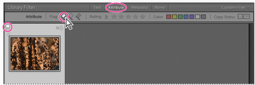Porządkowanie i wybieranie zdjęć w Adobe Lightroom - Korzystanie z flag i ocen Porządkowanie i wybieranie zdjęć w Adobe Lightroom - Korzystanie z flag i ocen