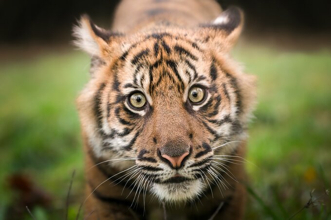 Warsztaty fotograficzne we wroc�awskim zoo