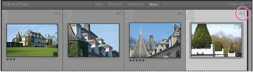 Porzdkowanie i wybieranie zdj w Adobe Lightroom - Zmiana nazw i naprawianie czy brakujcych plikw