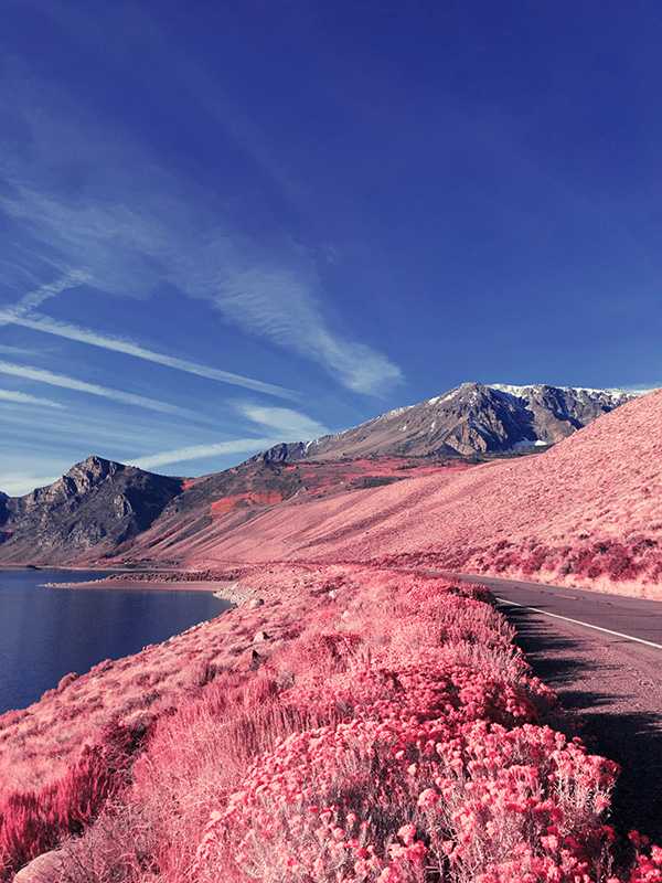 Nowe filtry VSCO Nowe filtry VSCO