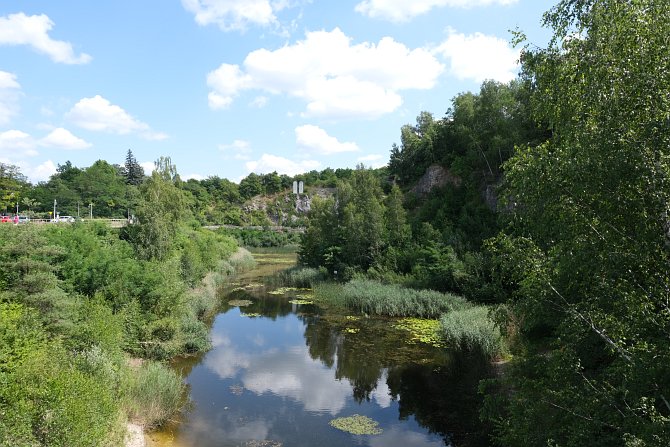 Zdjcie przykadowe nr: 0