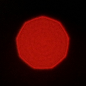 Venus Optics LAOWA Argus 33 mm f/0.95 CF APO - Koma, astygmatyzm i bokeh