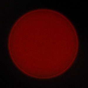 OM System M.Zuiko Digital 20 mm f/1.4 PRO - Aberracja chromatyczna i sferyczna