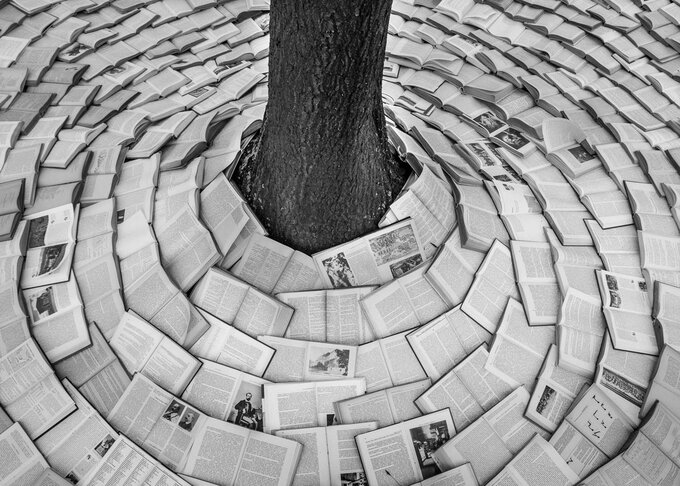 Papierowe krajobrazy - wystawa fotografii