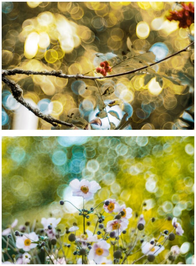 Meyer Optik Grlitz Trioplan 100mm f/2.8 II z nowymi mocowaniami