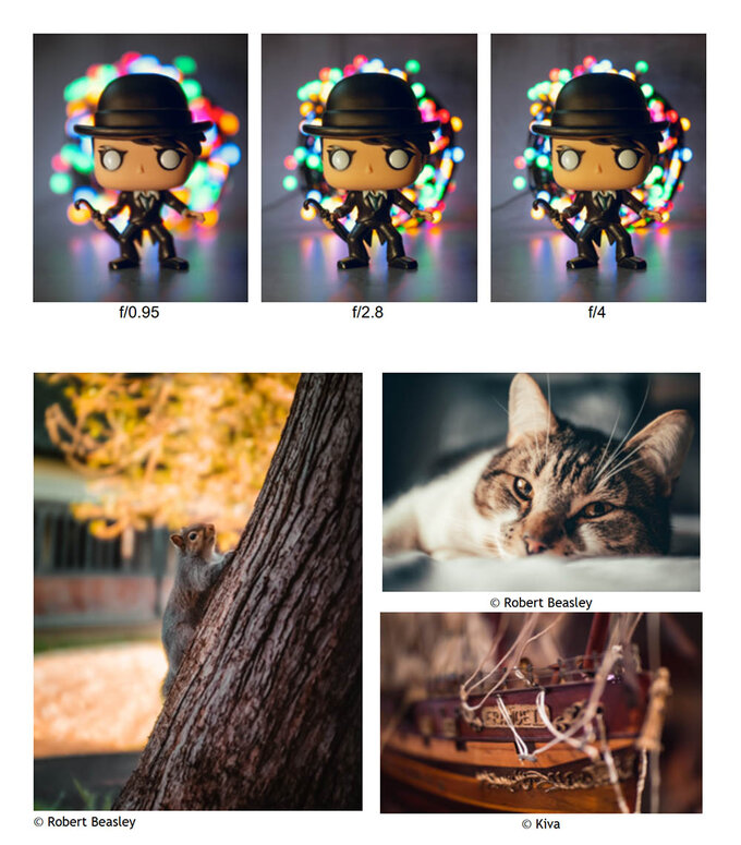 Venus Optics Laowa Argus 25 mm f/0.95 MFT