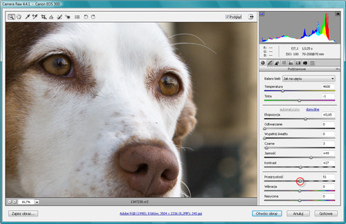 Zaklcia Photoshopa - wywoywanie plikw RAW - Zwikszanie wyrazistoci zdjcia