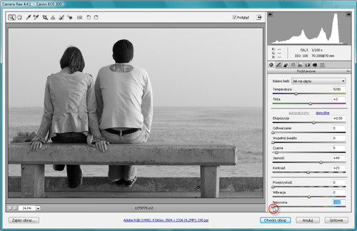 Zaklcia Photoshopa - wywoywanie plikw RAW - Zamiana obrazw kolorowych w czarno-biae